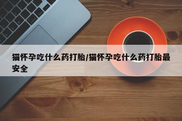 私下卖打胎药的联系方式，猫怀孕吃什么药打胎/猫怀孕吃什么药打胎最安全