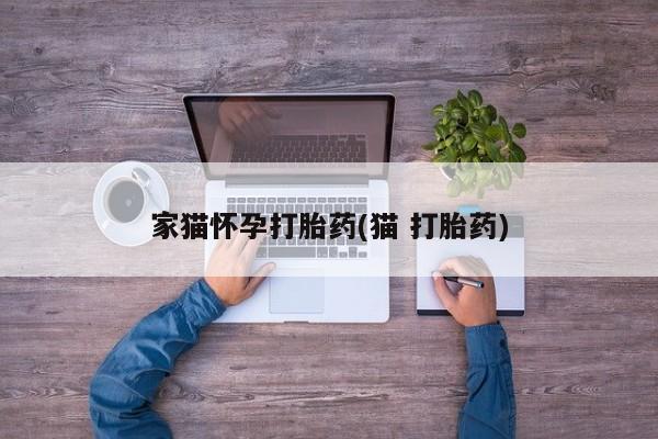 私下卖打胎药的联系方式，家猫怀孕打胎药(猫 打胎药)